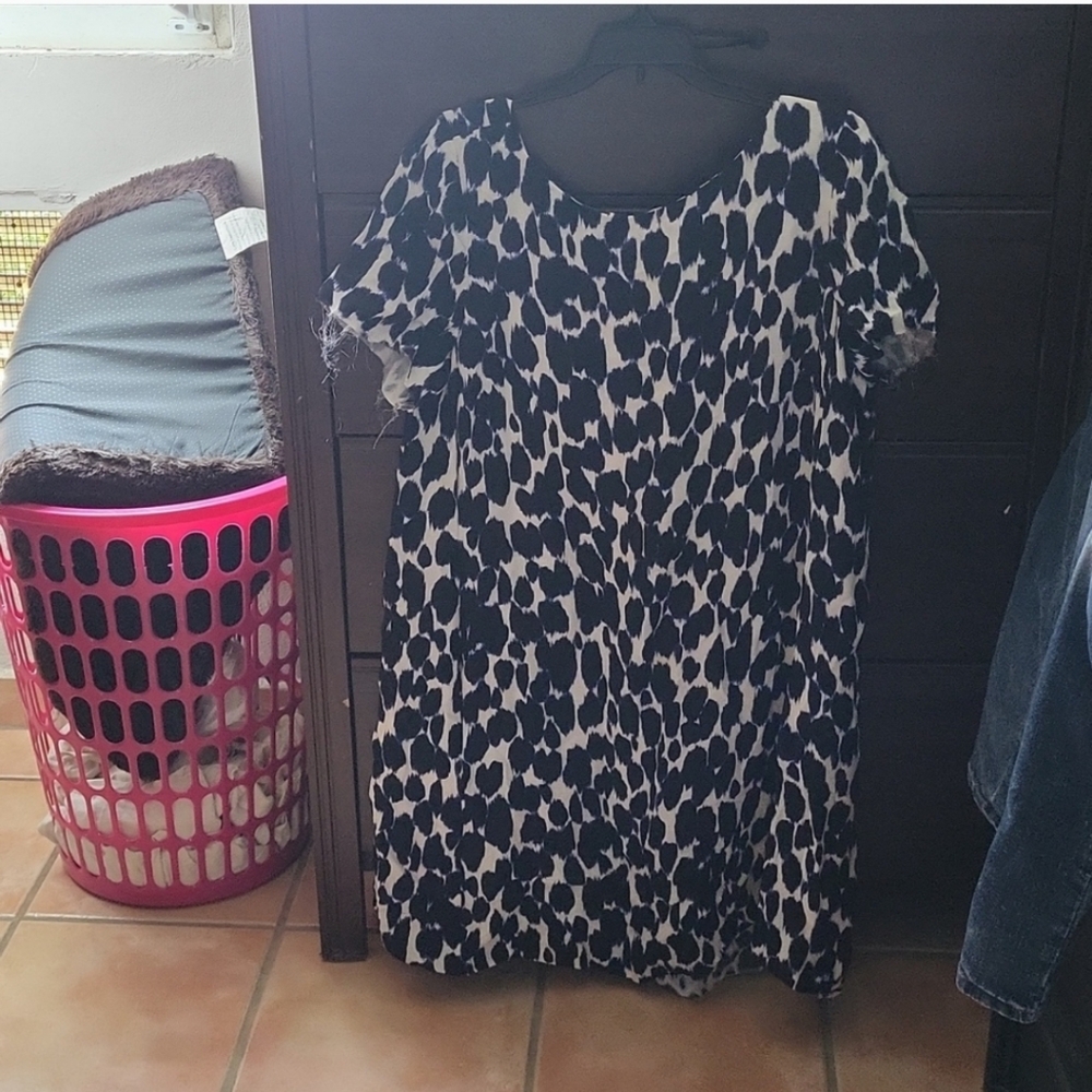 Kate Spade Dress